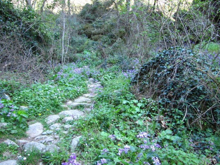 מטאורה והמנזרים התלויים